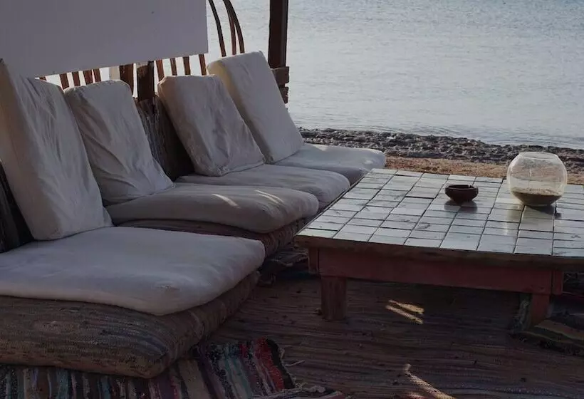 هتل Nuweiba Lodge