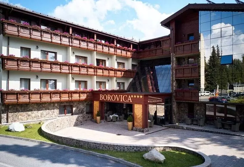 Aplend Wellness Hotel Borovica