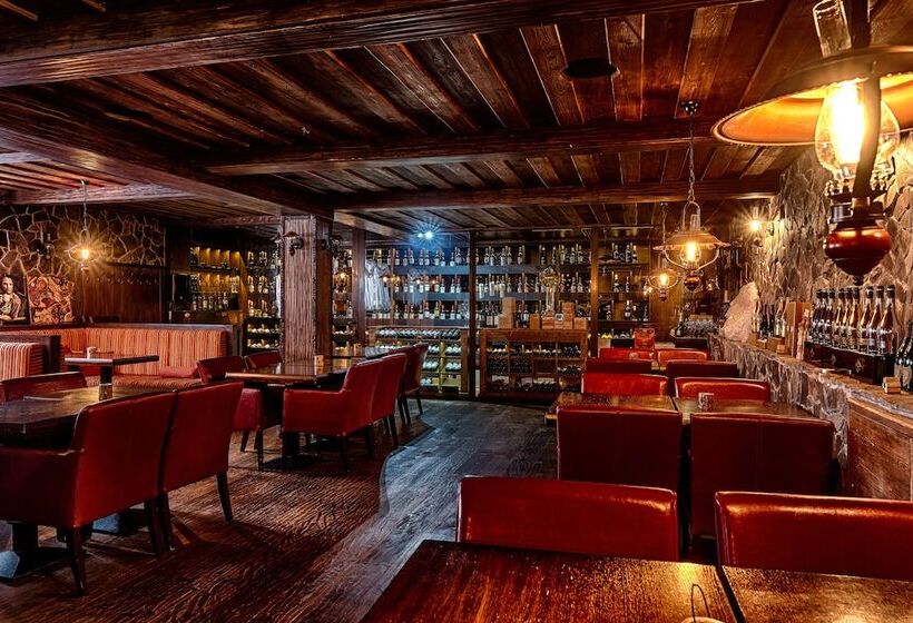 Aplend Wellness Hotel Borovica