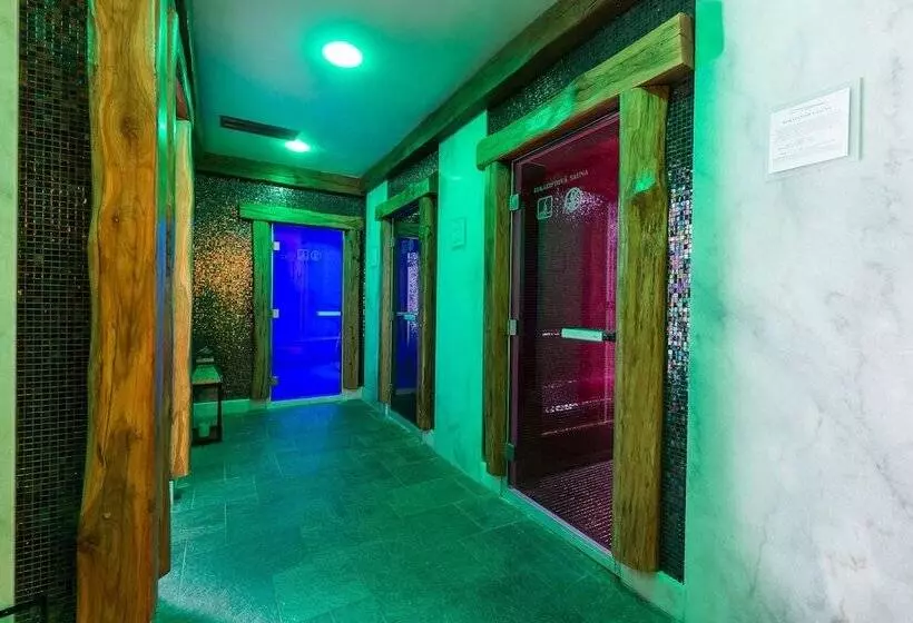 Aplend Wellness Hotel Borovica