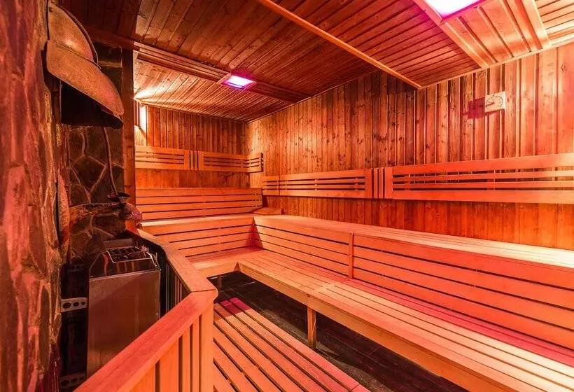 Aplend Wellness Hotel Borovica