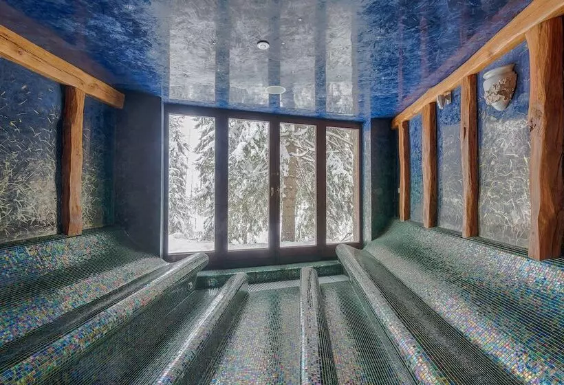 Aplend Wellness Hotel Borovica