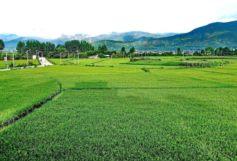 بنسيون Old Theatre Inn