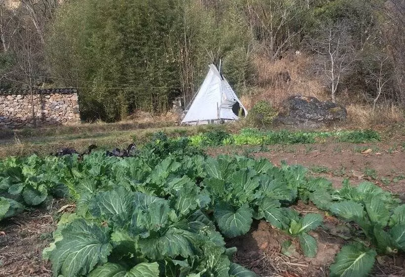 پانسیون Wei Island Farm&art Guesthouse