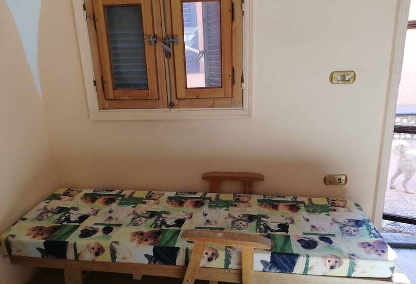 اقامتگاه Equestrian Lodge   Pyramids Egypt