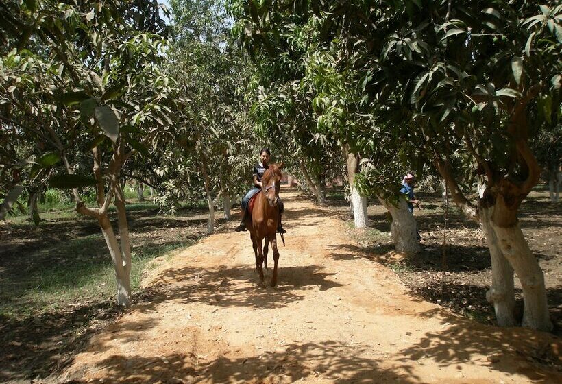 اقامتگاه Equestrian Lodge   Pyramids Egypt