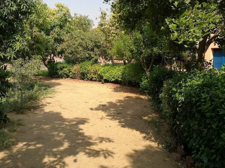 اقامتگاه Equestrian Lodge   Pyramids Egypt