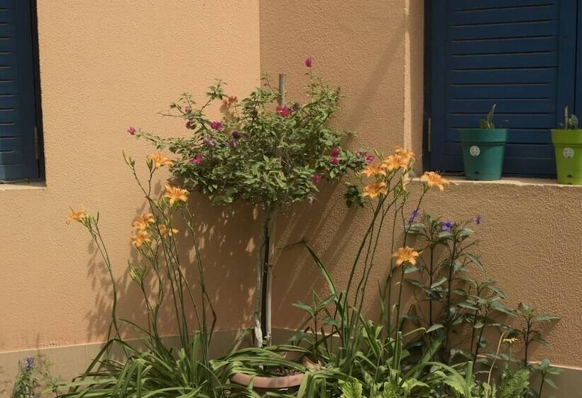 اقامتگاه Equestrian Lodge   Pyramids Egypt