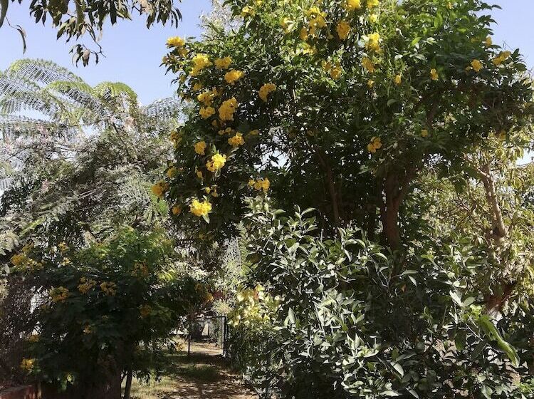 اقامتگاه Equestrian Lodge   Pyramids Egypt