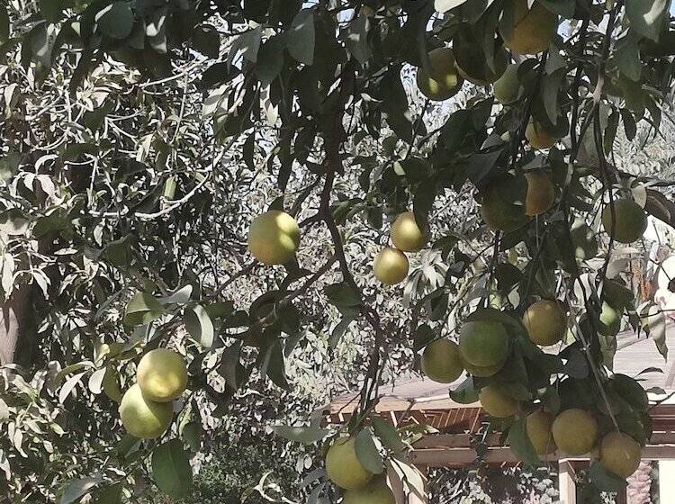 اقامتگاه Equestrian Lodge   Pyramids Egypt