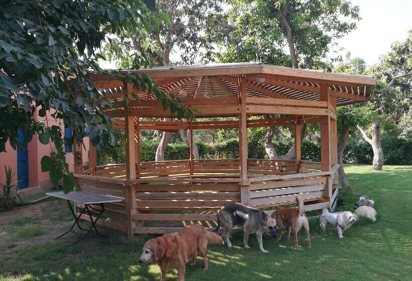 اقامتگاه Equestrian Lodge   Pyramids Egypt