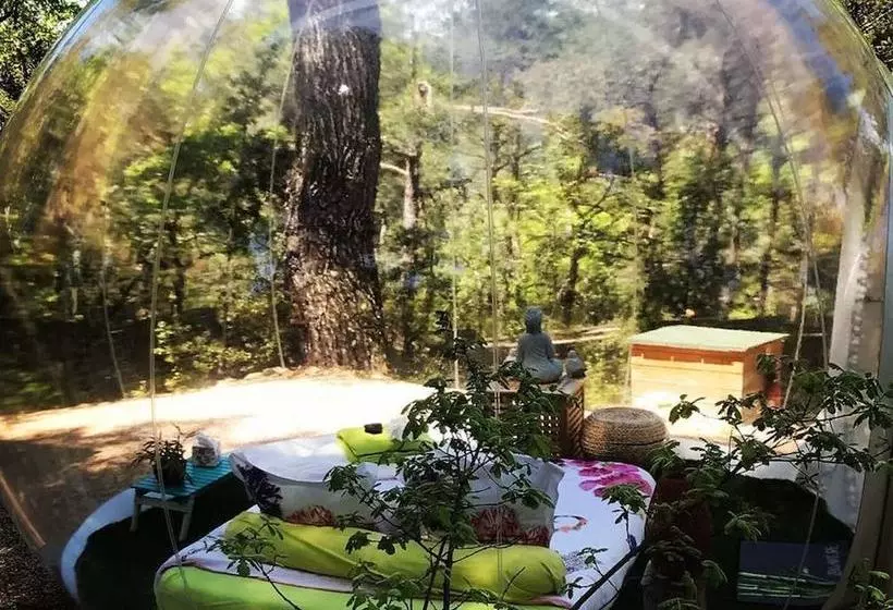 Aamiaismajoitus (B&B) Admirons La Nature