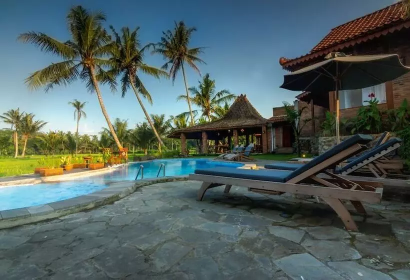 تختخواب و صبحانه Gopalan Borobudur