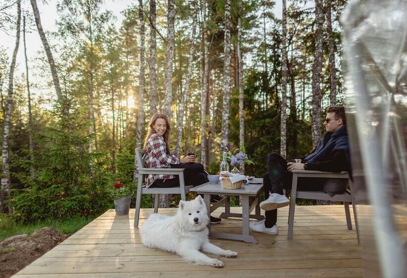 Bed and Breakfast Julared