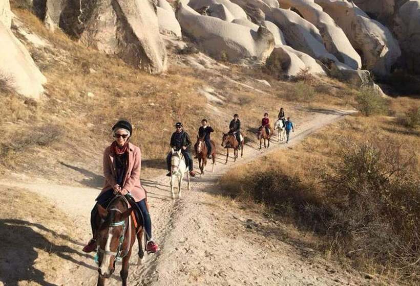 فندق Bayer Stone House