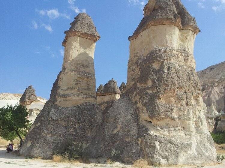 فندق Bayer Stone House