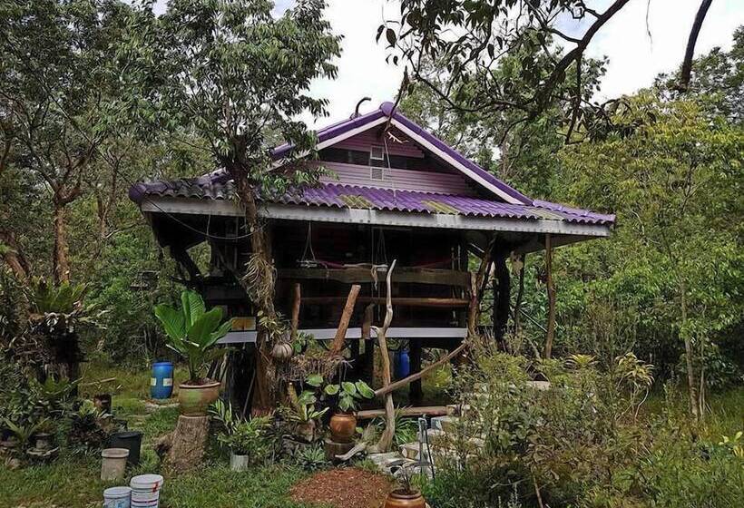 هتل Big Boss Resort