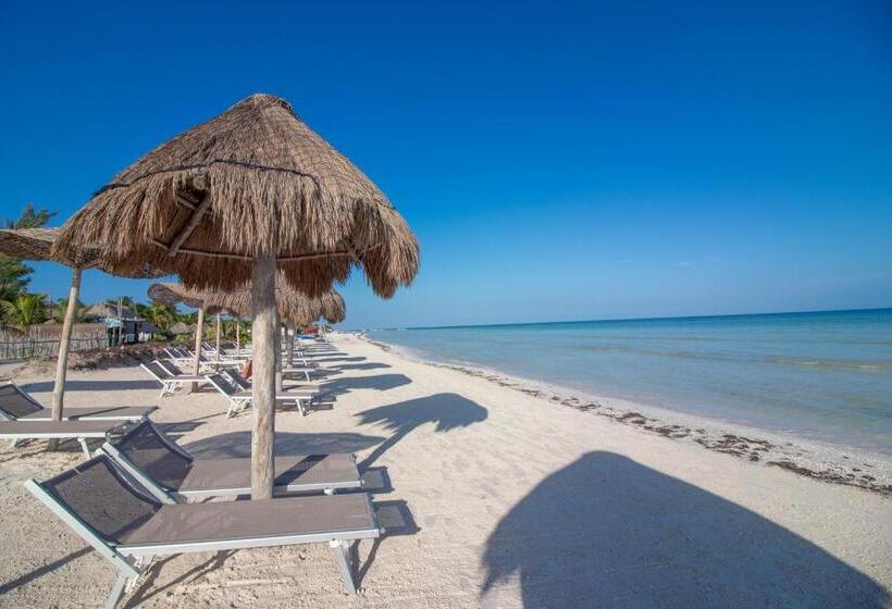 My Blue Hotel Holbox