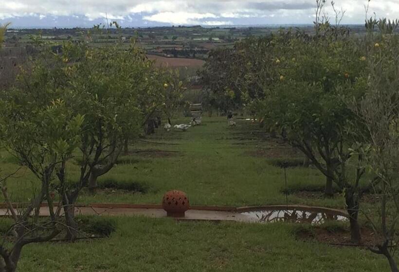 ペンション Palais D Hôtes