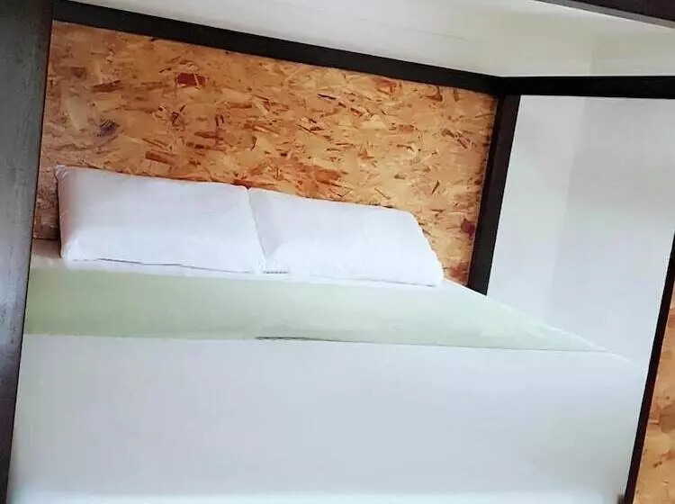 Spinning Cat Hostel   Adults Only