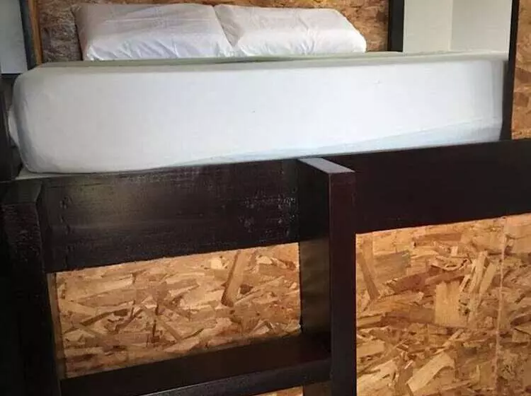 Spinning Cat Hostel   Adults Only