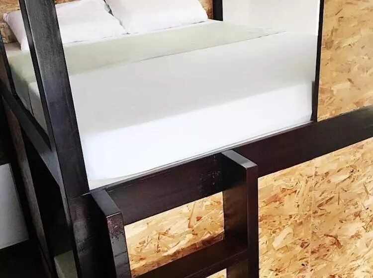 Spinning Cat Hostel   Adults Only