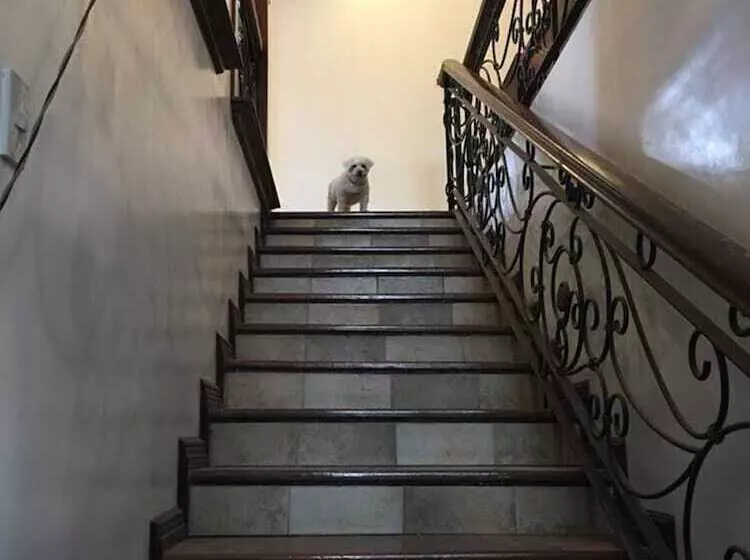 Spinning Cat Hostel   Adults Only