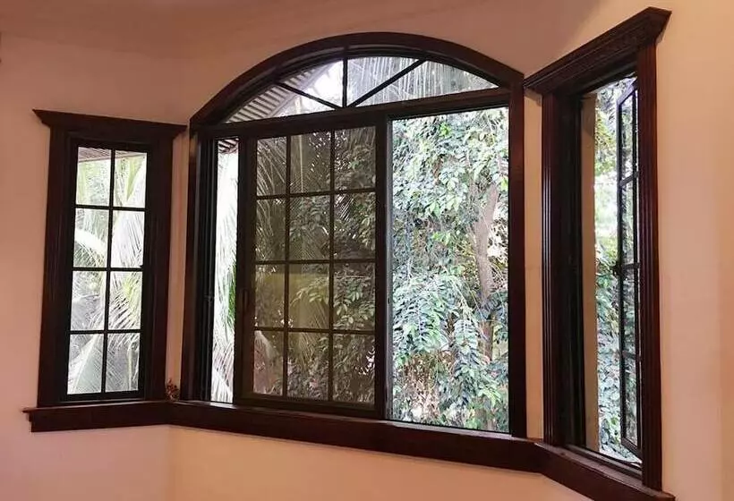 Spinning Cat Hostel   Adults Only