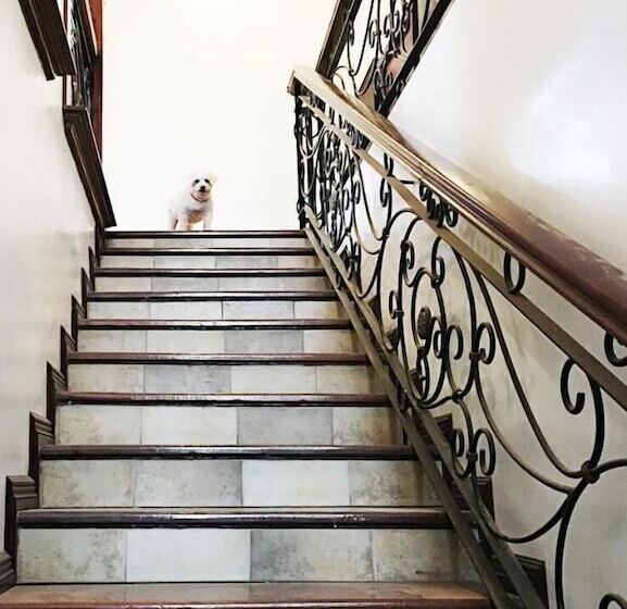 Spinning Cat Hostel Adults Only