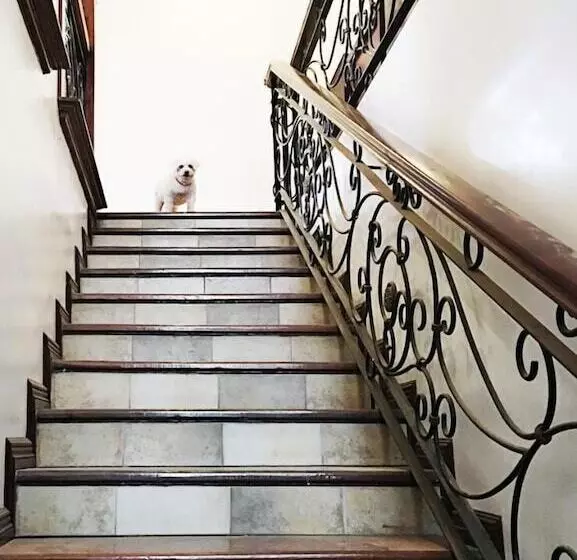 Spinning Cat Hostel   Adults Only