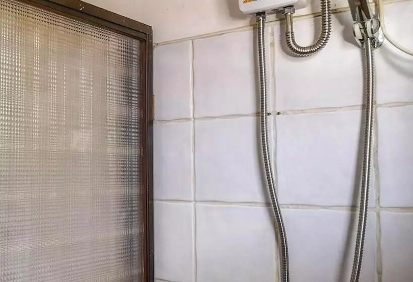 Spinning Cat Hostel   Adults Only