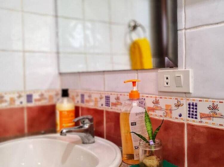 Spinning Cat Hostel   Adults Only