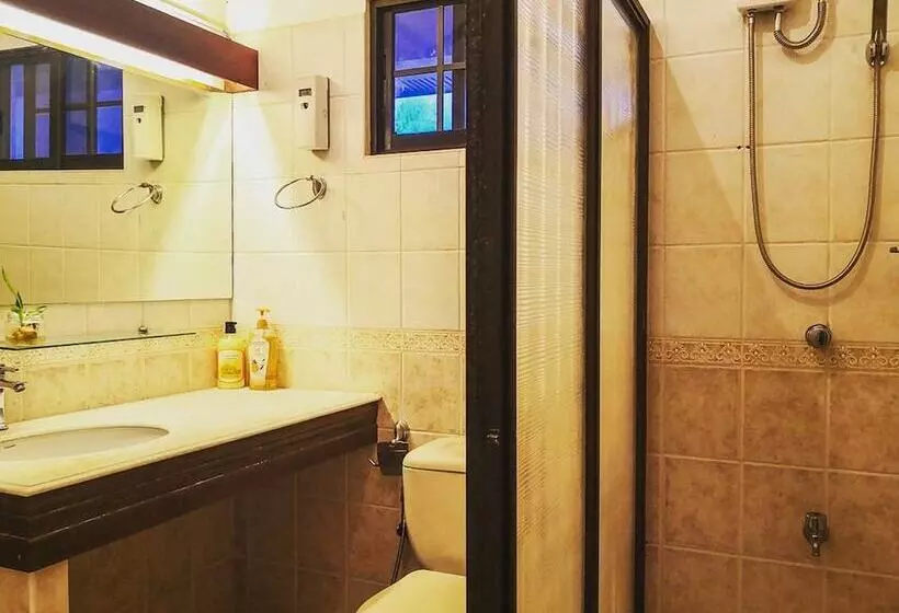 Spinning Cat Hostel   Adults Only