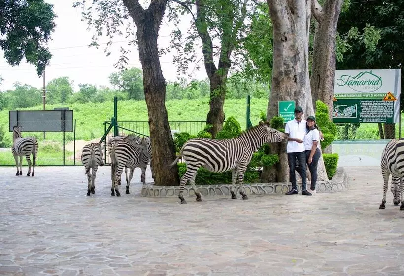 هتل Tamarind Holiday And Conference Resort