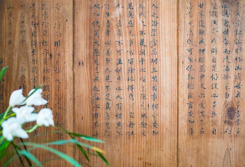 פנסיון Floral Joy Cat