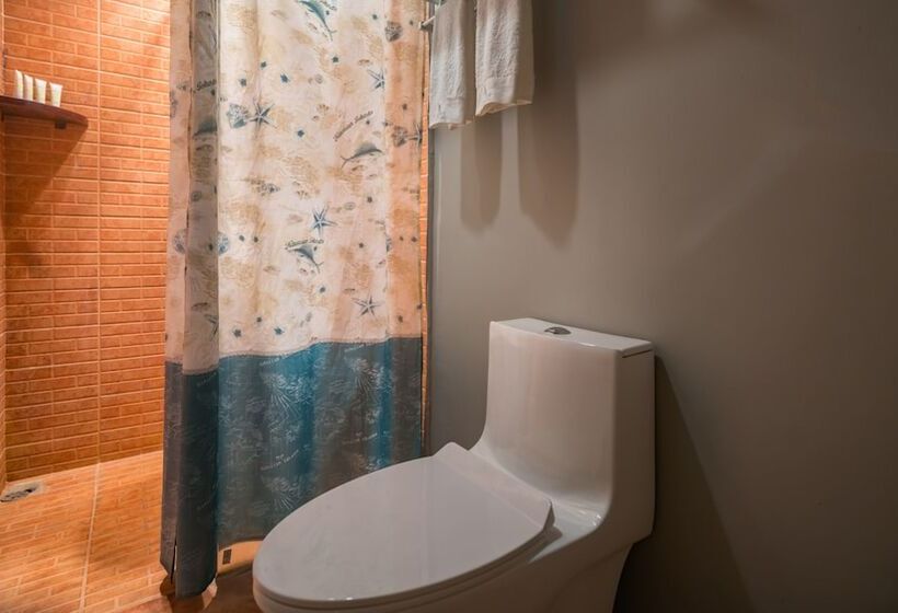 פנסיון Floral Joy Cat