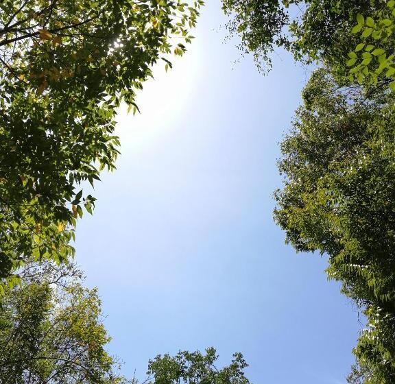 هتل A Rock Resort Langkawi Coral Reefs