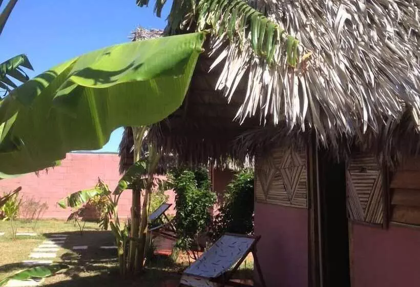 پانسیون Le Trou Normand