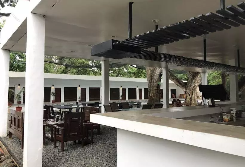 Alesseo Backpackers   Hostel