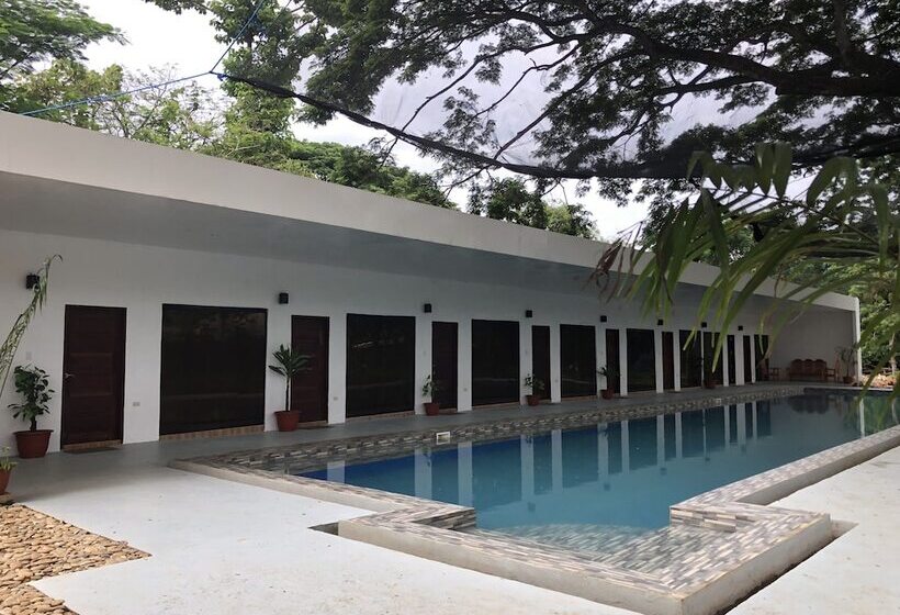 Alesseo Backpackers   Hostel