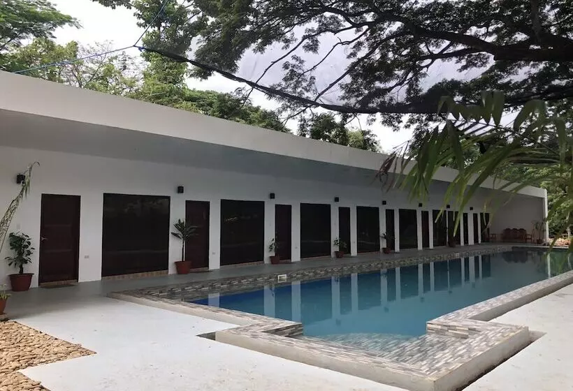 Alesseo Backpackers   Hostel