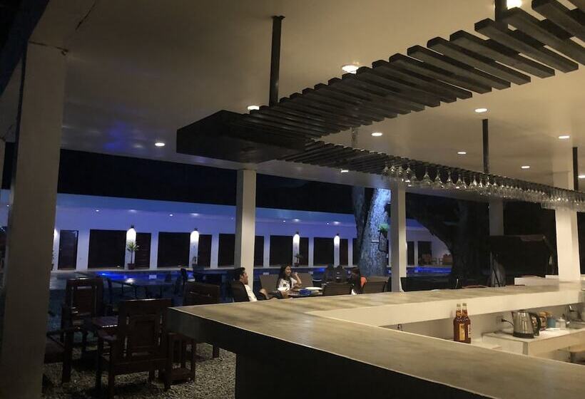 Alesseo Backpackers   Hostel