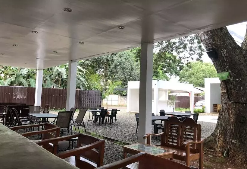 Alesseo Backpackers   Hostel