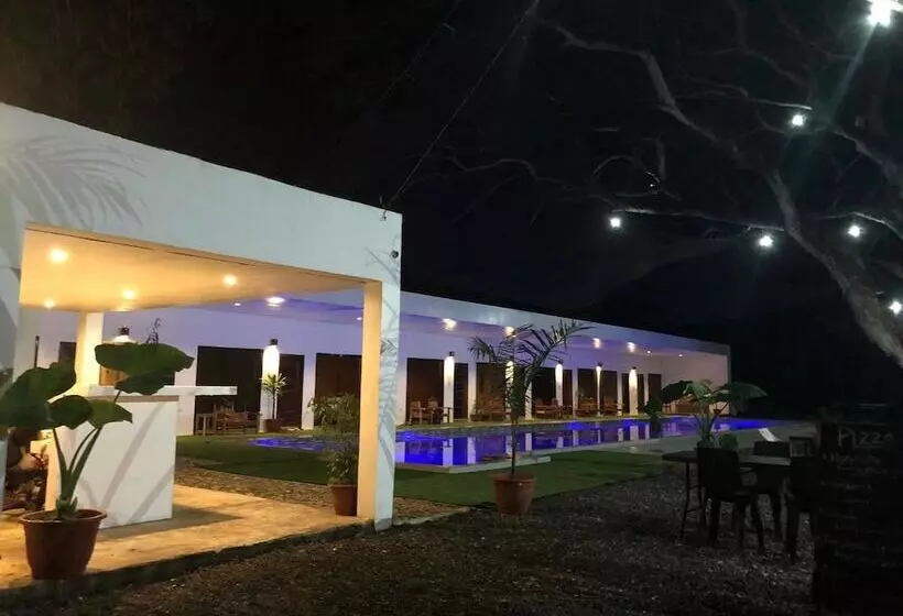 Alesseo Backpackers   Hostel