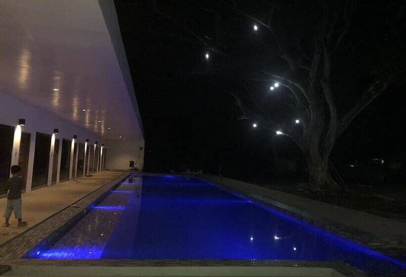 Alesseo Backpackers   Hostel