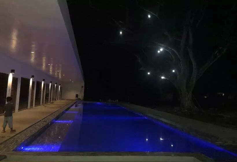 Alesseo Backpackers   Hostel