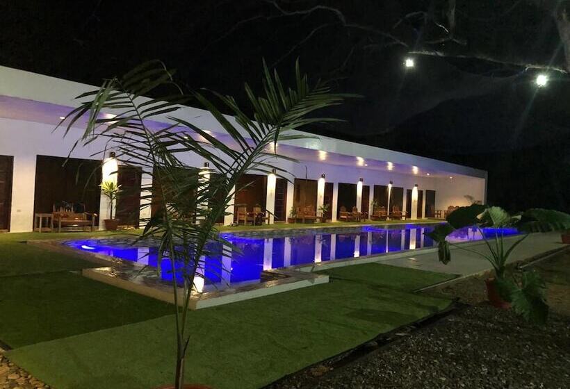 Alesseo Backpackers   Hostel