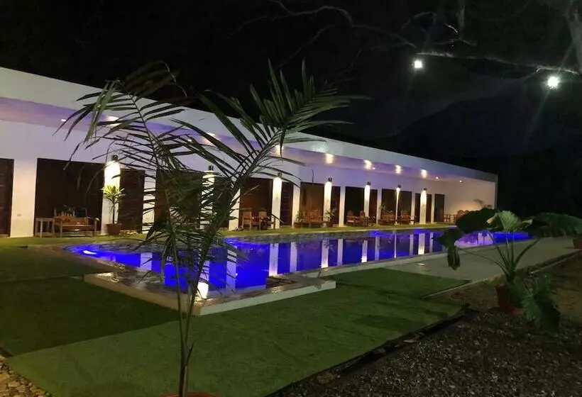 Alesseo Backpackers   Hostel