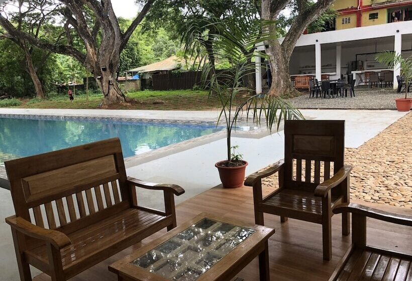 Alesseo Backpackers   Hostel