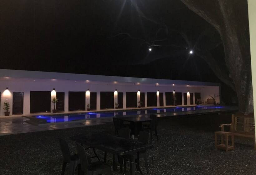 Alesseo Backpackers   Hostel